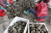 $[city_name]湛江遂溪做什么赚钱(在湛江遂溪开个奶茶店需要多少钱)