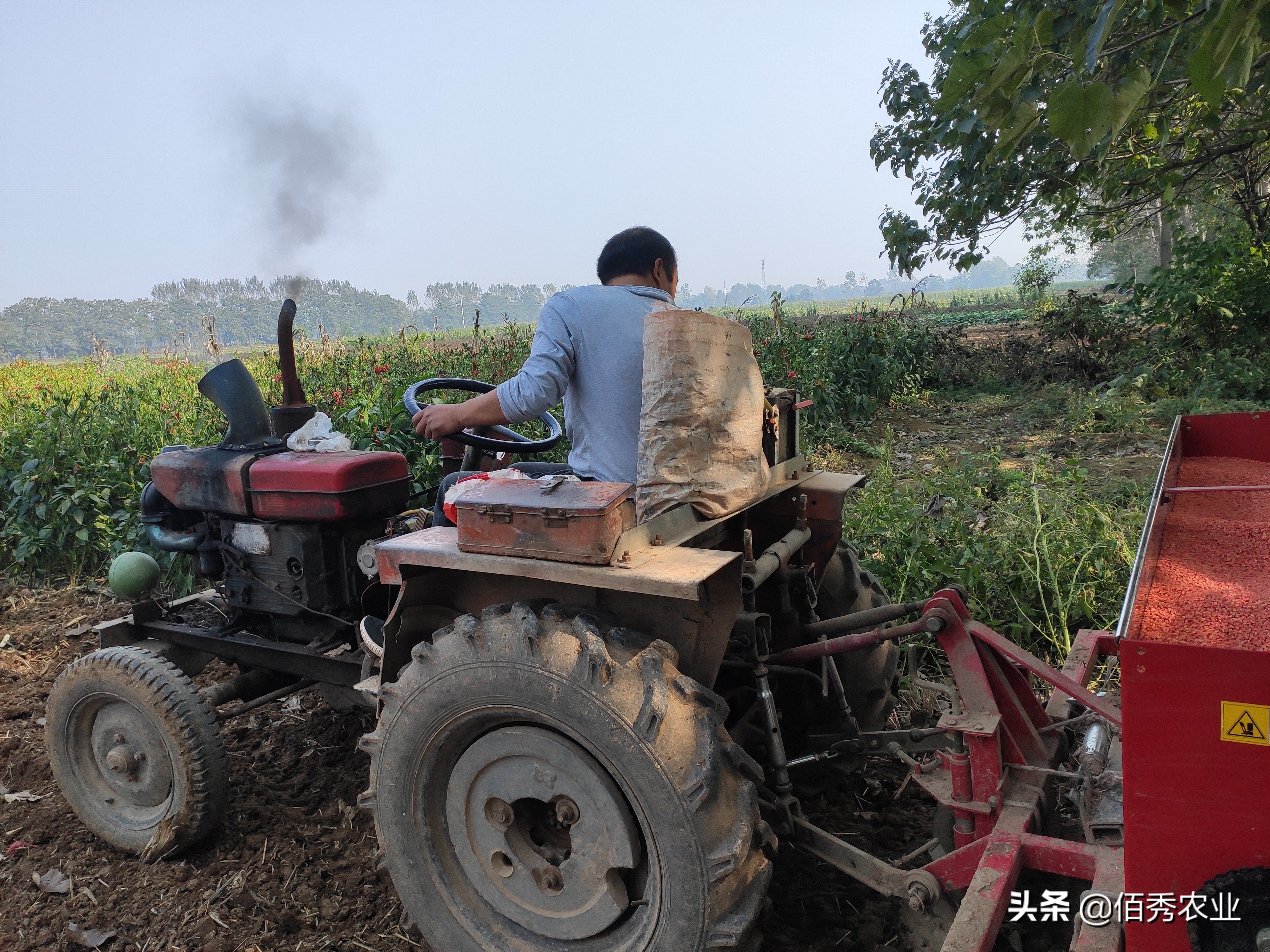 农村做什么会赚钱(农村做什么赚钱快最好) 农村做什么会赚钱(农村做什么赚钱快最好)
