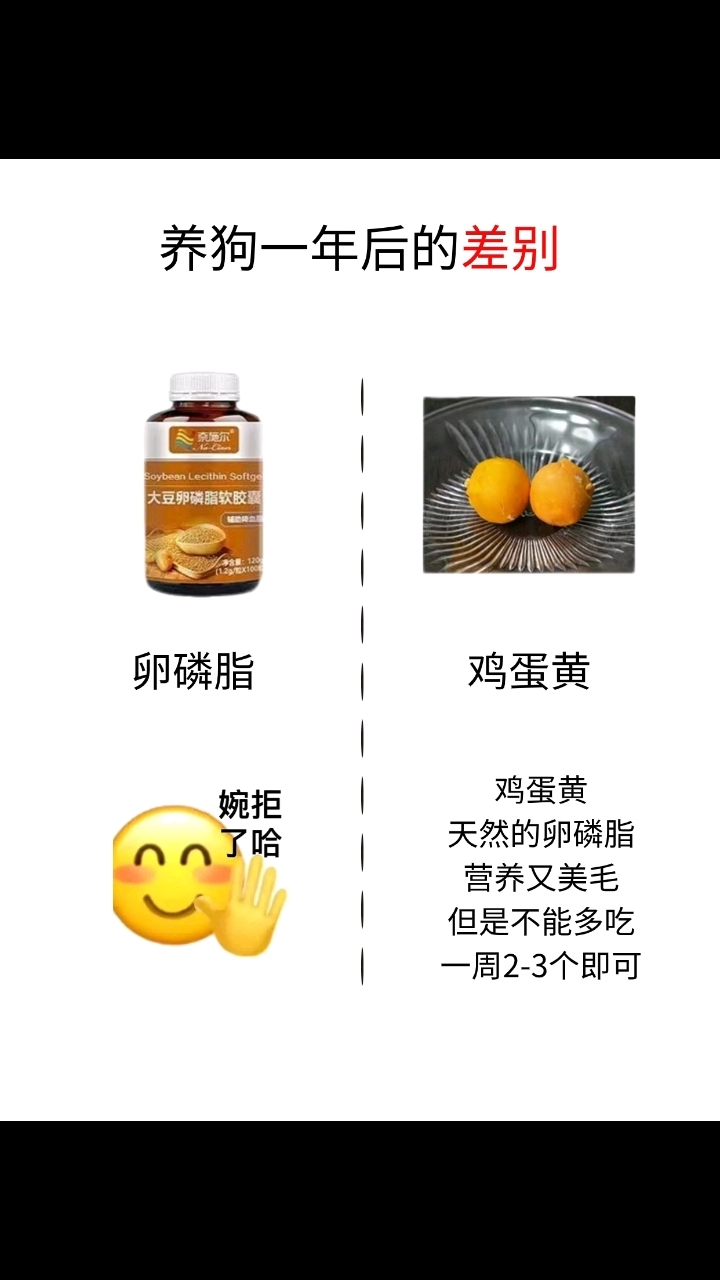 关于口臭娘娘游戏攻略的信息 关于口臭娘娘游戏攻略的信息